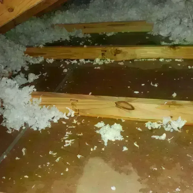 Attic Water Damage in Auburn, IL