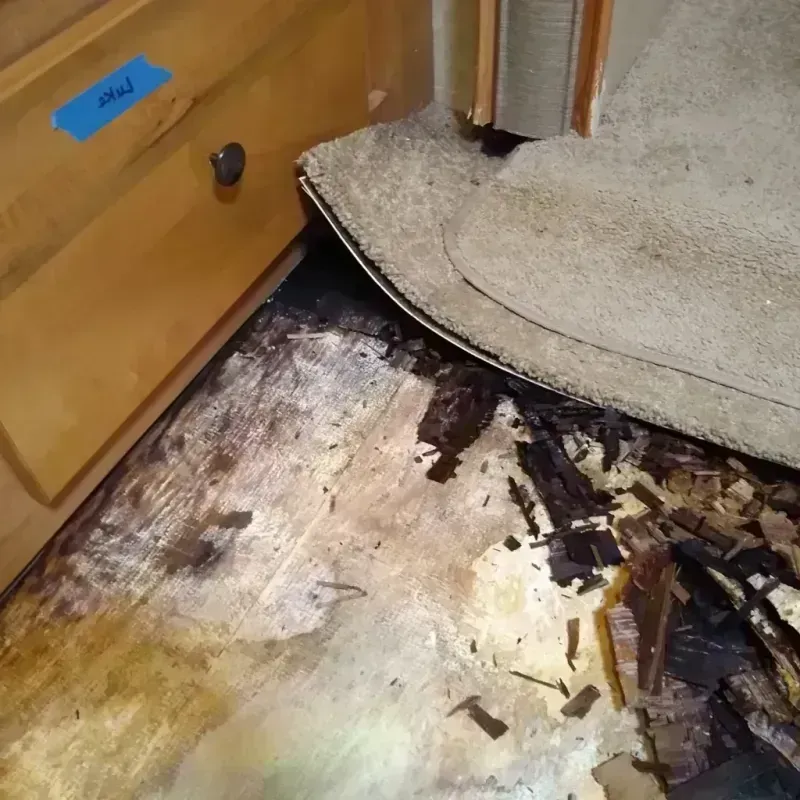 Wood Floor Water Damage in Auburn, IL